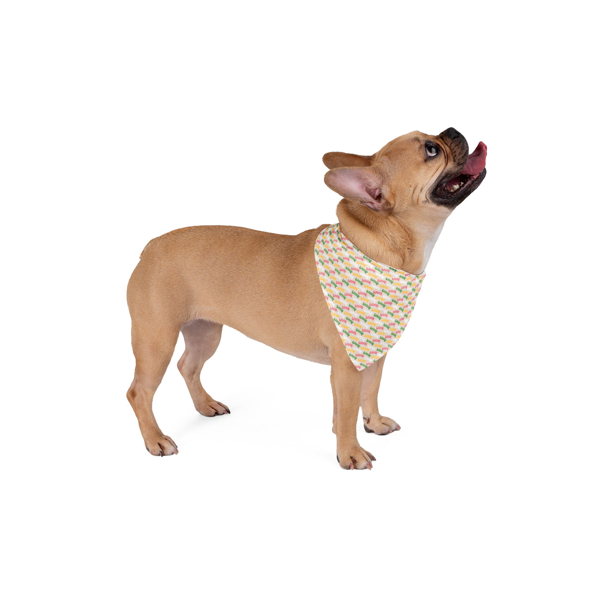 Woof Pet Bandana