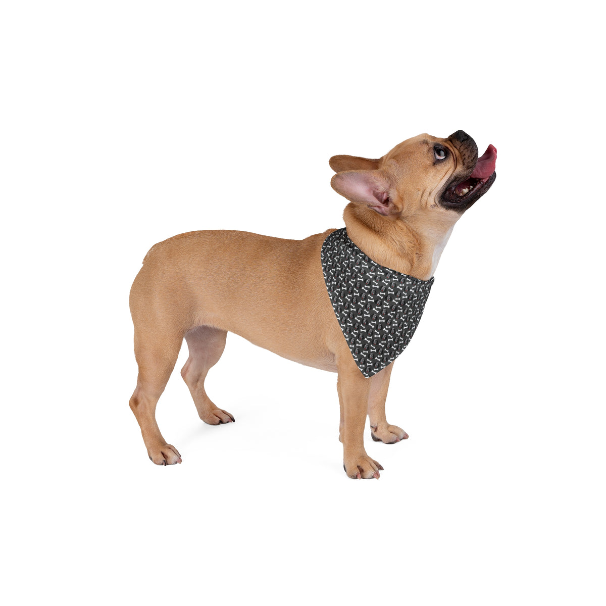 Bones Pet Bandana