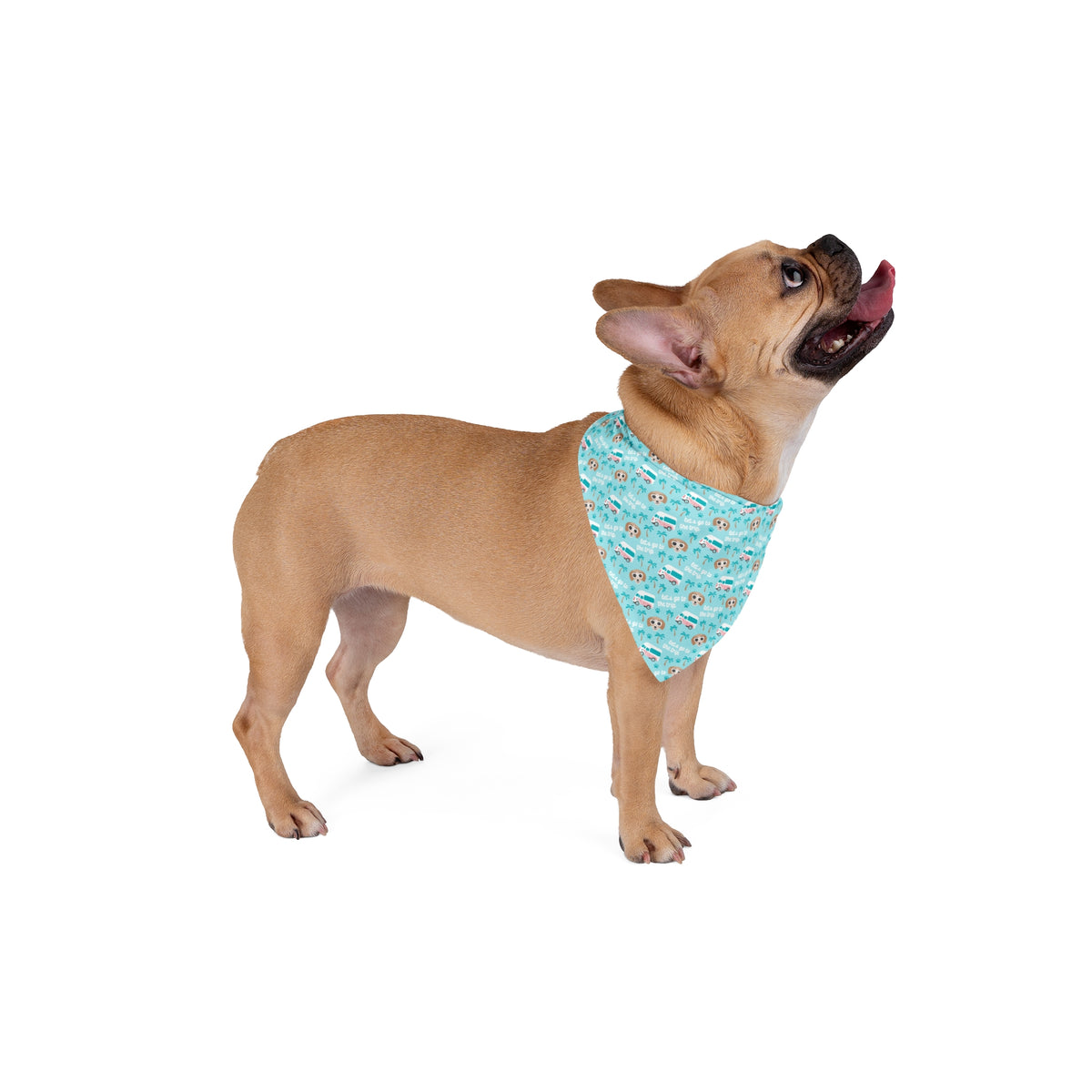 Trip Pet Bandana