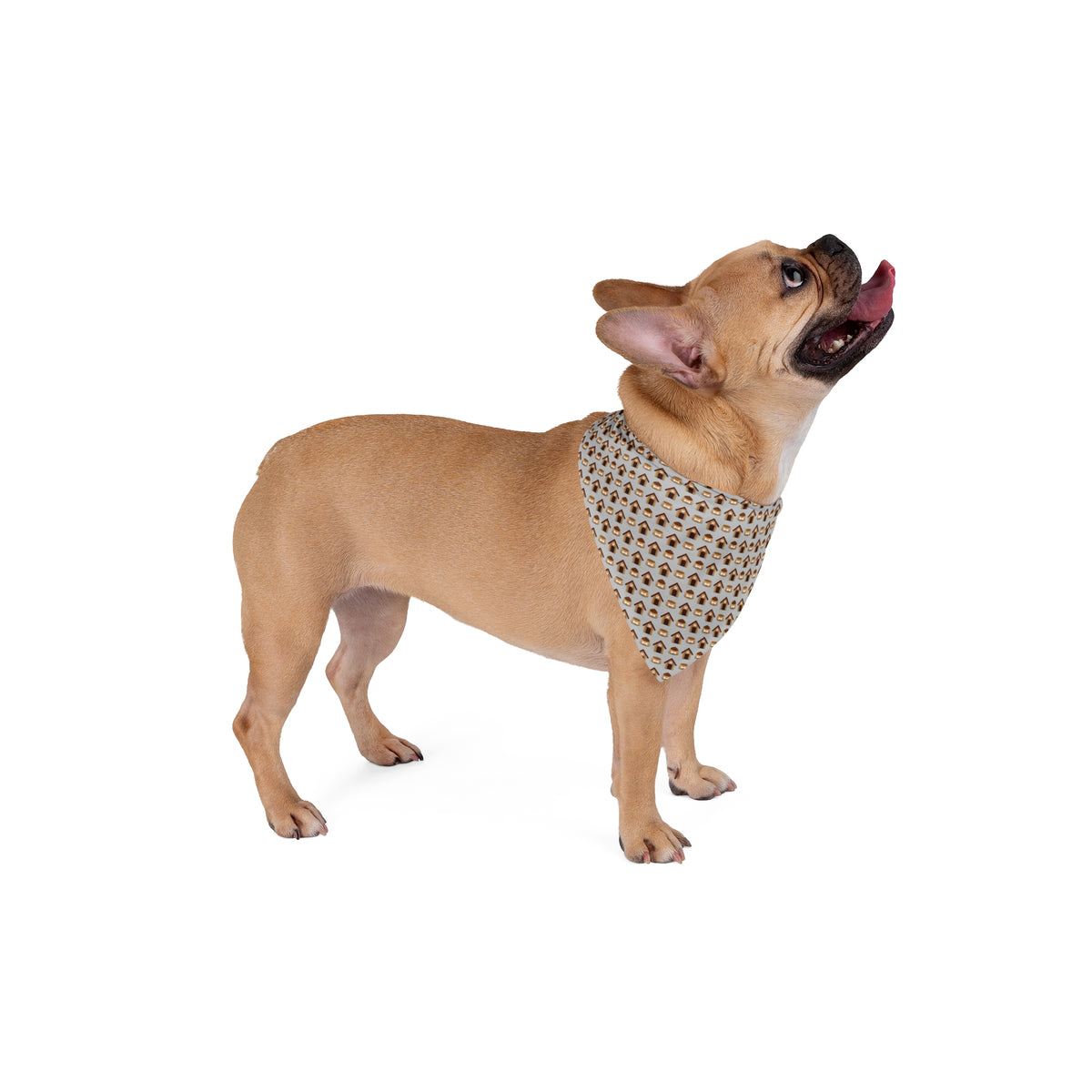 Pup Pet Bandana