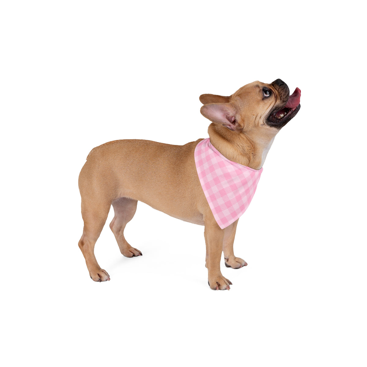 Pink Plaid Pet Bandana