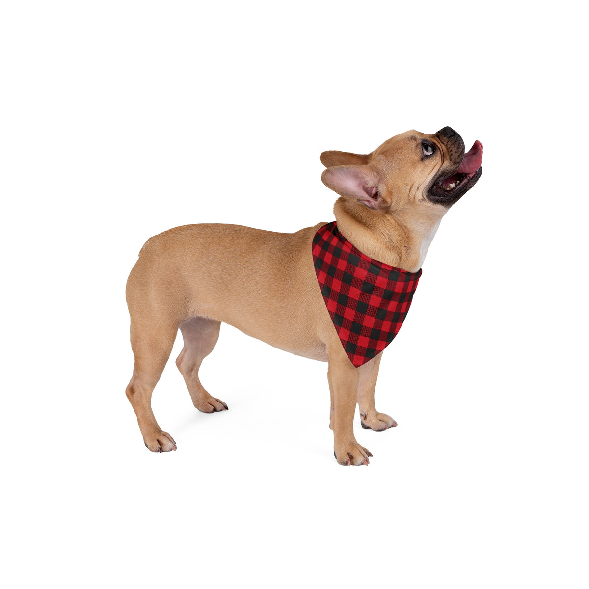 Red Plaid Pet Bandana