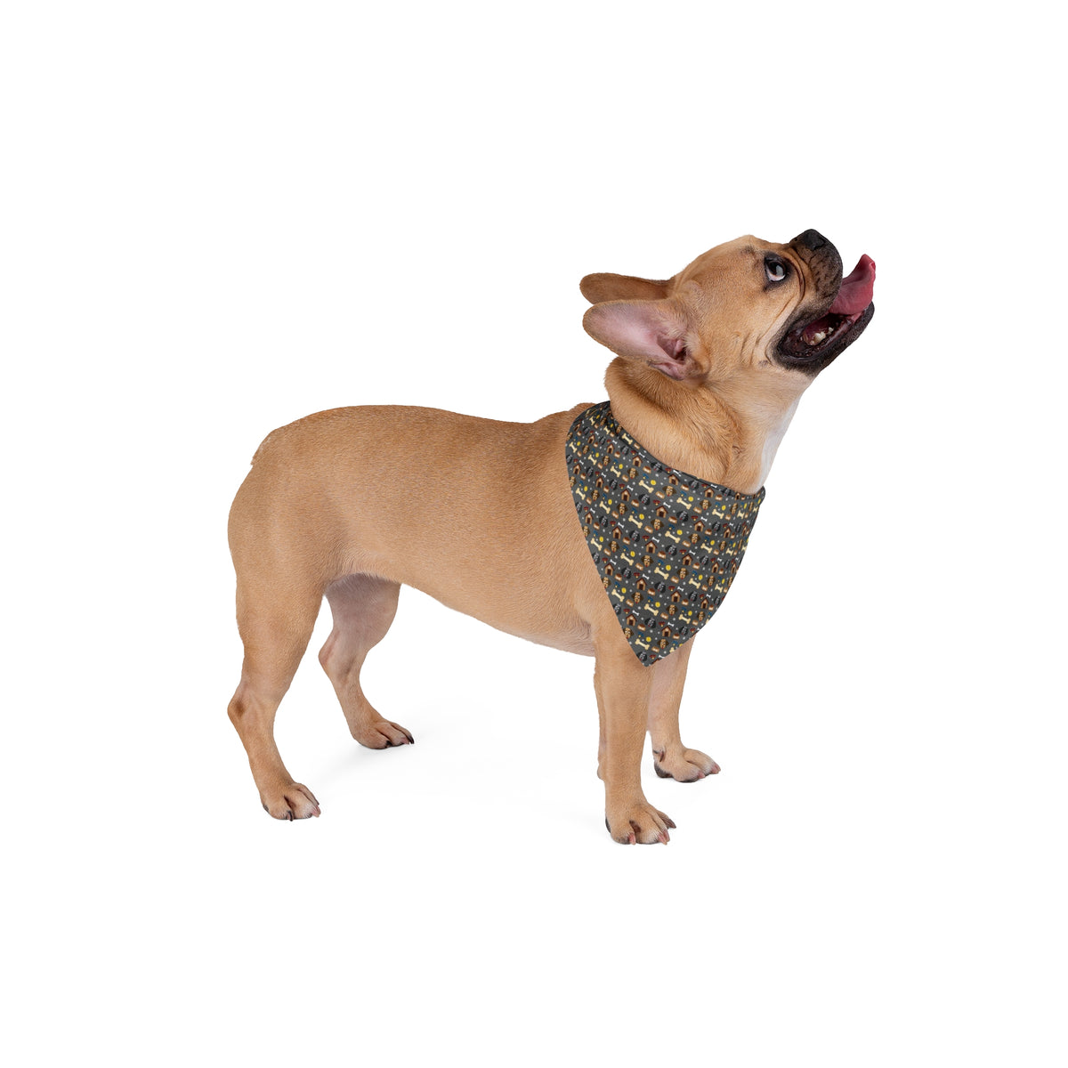 Dog House Pet Bandana