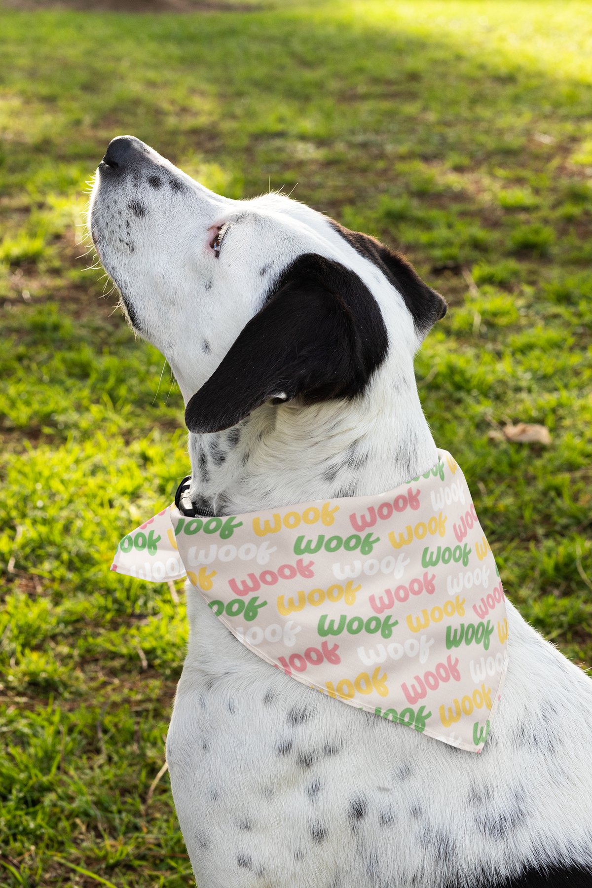 Woof Pet Bandana