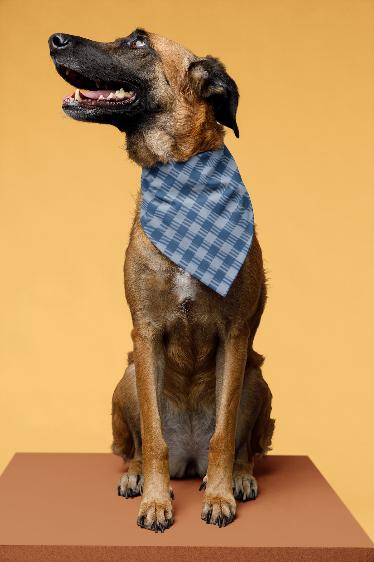 Blue Plaid Pet Bandana