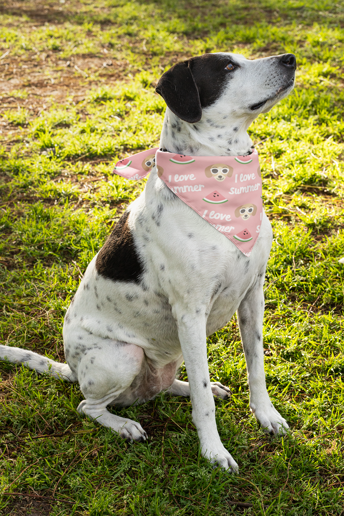 I Love Summer Pet Bandana