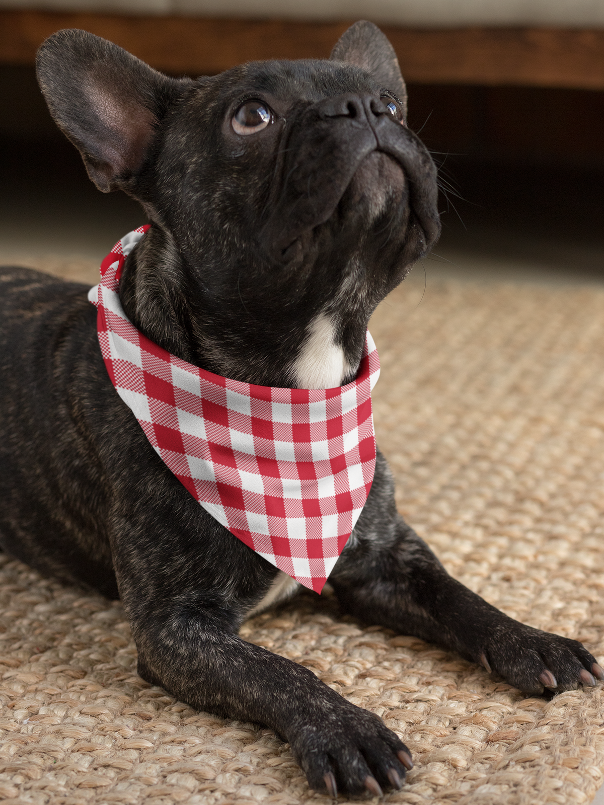 Red Pet Bandana