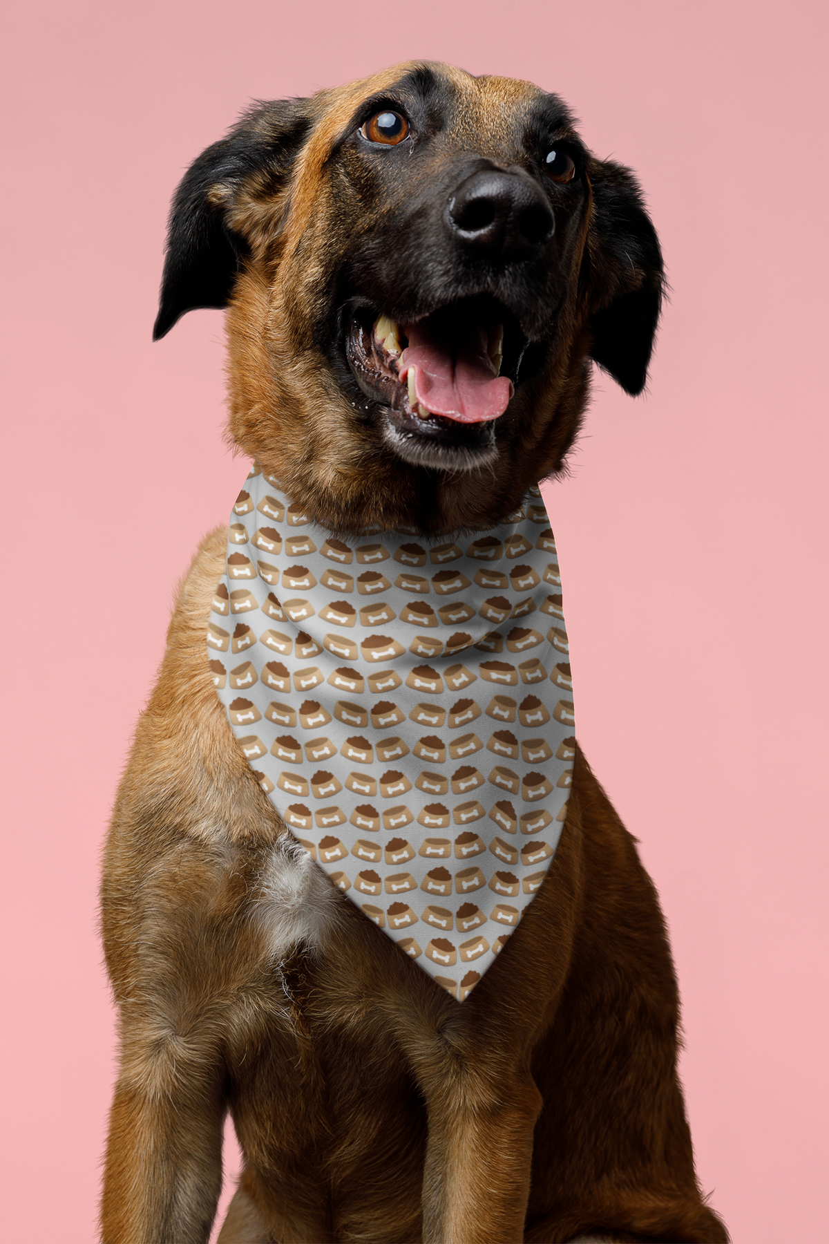 Dinner Pet Bandana