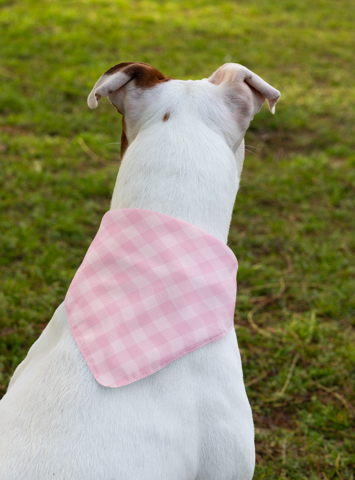 Pink Plaid Pet Bandana