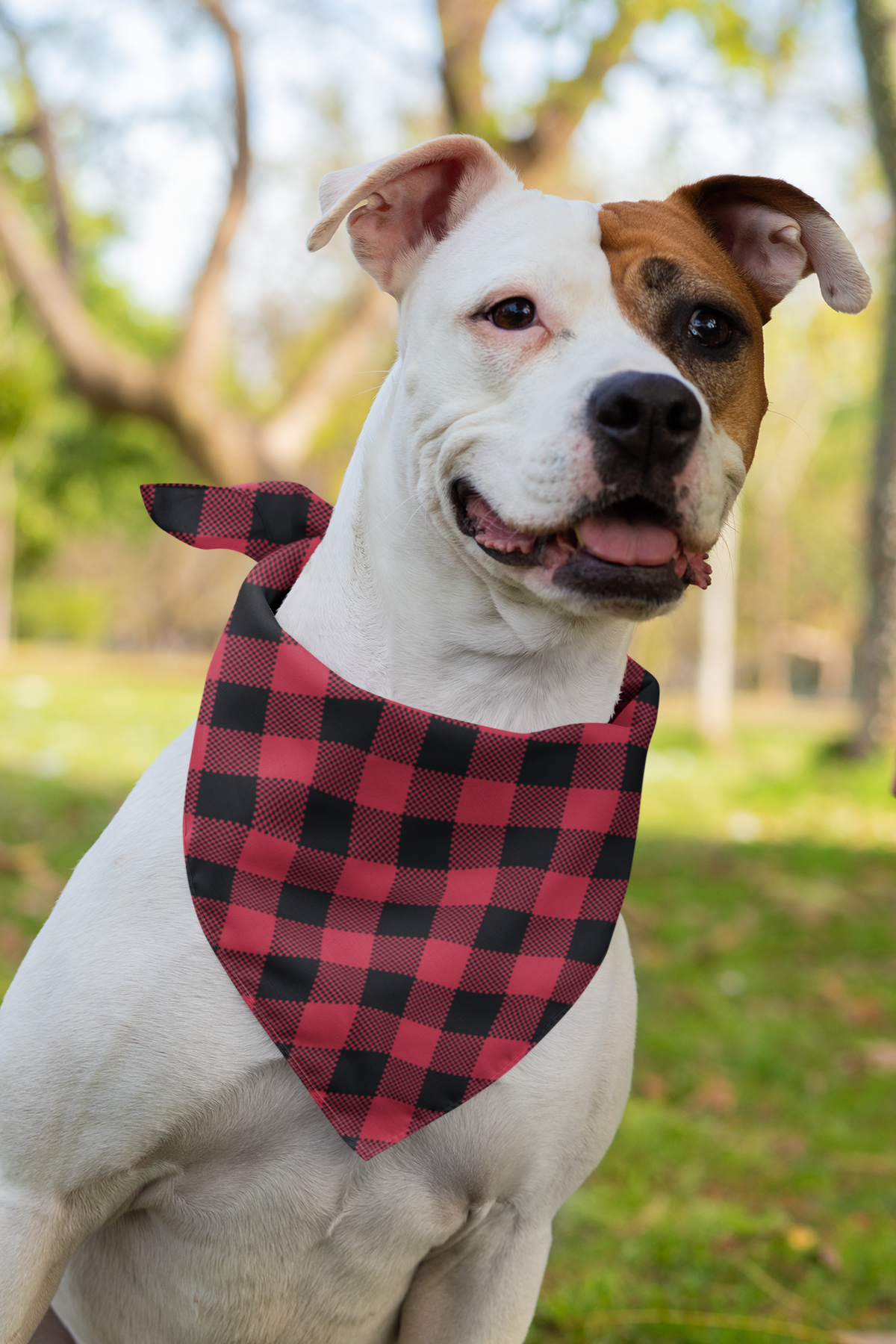 Red Plaid Pet Bandana